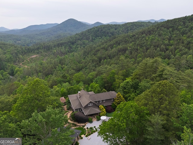 295 Goble Gap Rd, Clayton, GA 30525 - view of subject property featuring a forest and a mountain backdrop