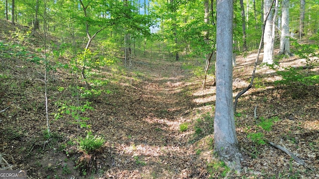 0 Flanagan Mill Rd, Auburn, GA 30011