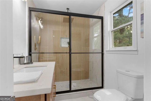 bathroom with a shower stall, toilet, and vanity