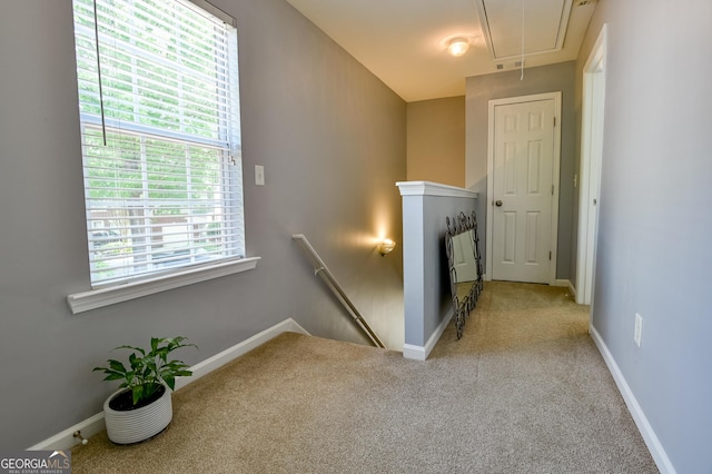 stairway featuring attic access, baseboards, and carpet