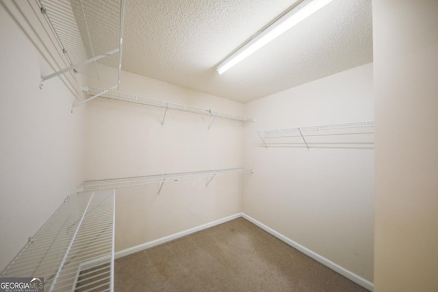 4205 Royal Regency Cir NW, Kennesaw, GA 30144 - walk in closet featuring carpet