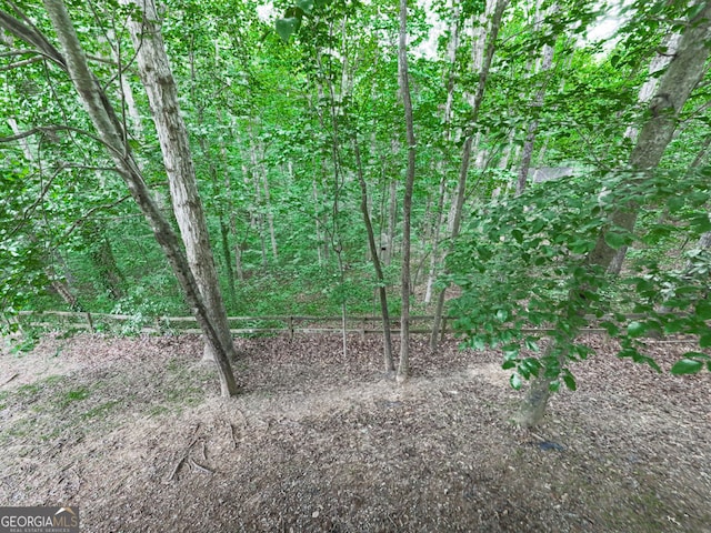 view of local wilderness