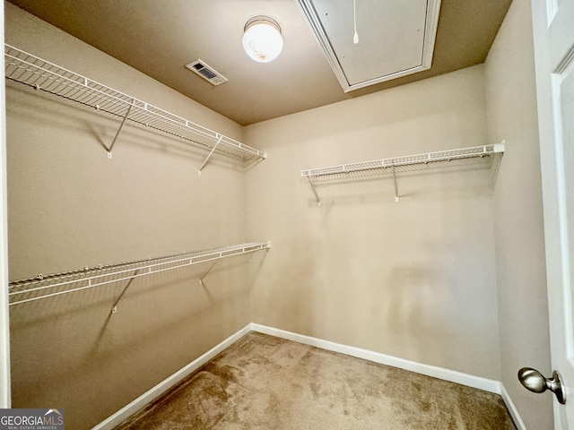 walk in closet featuring attic access, carpet floors, and visible vents