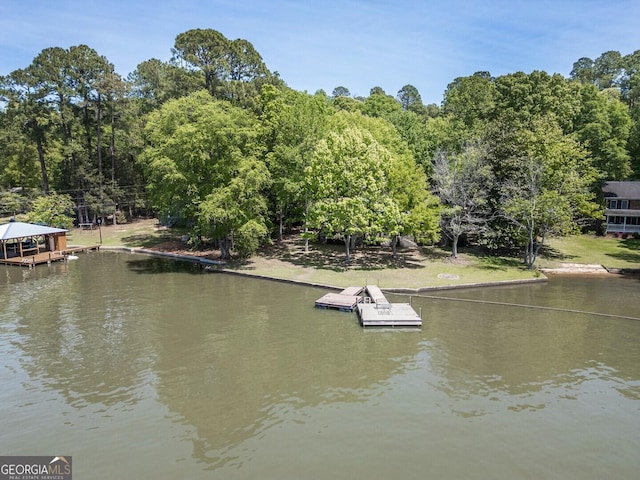 property view of water with a floating dock
