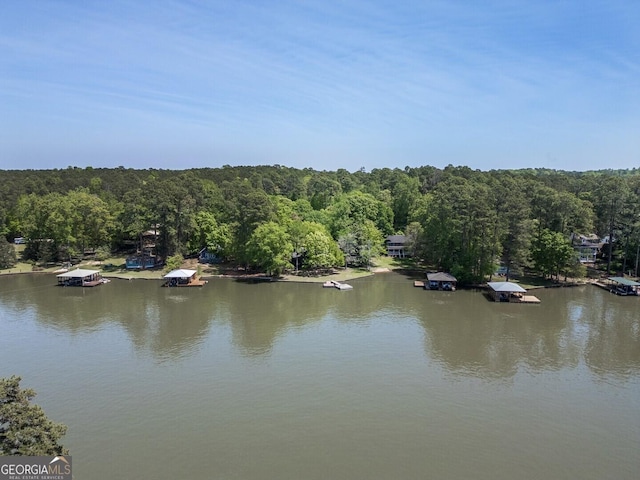 water view with a wooded view