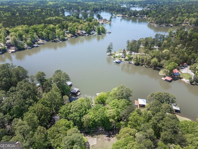 birds eye view of property featuring a water view and a wooded view