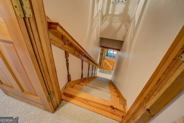 stairway with carpet flooring