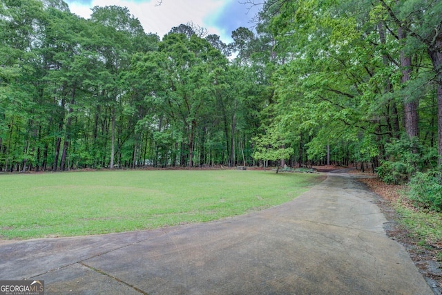 view of yard with a view of trees and driveway