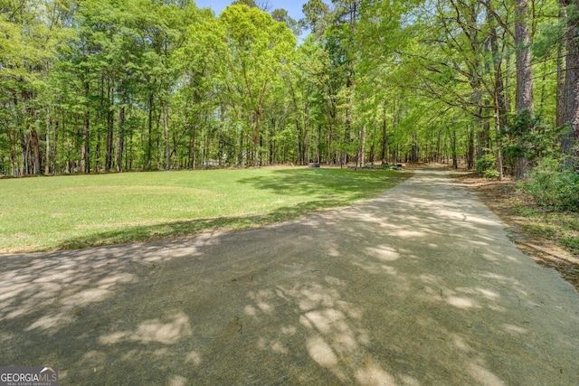 view of yard with a view of trees and driveway