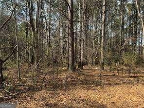 2949 Rosebud Rd, Snellville, GA 30078