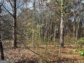 2949 Rosebud Rd, Snellville, GA 30078