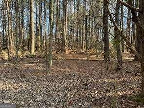 2949 Rosebud Rd, Snellville, GA 30078