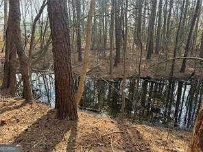 2949 Rosebud Rd, Snellville, GA 30078
