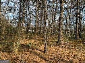 2949 Rosebud Rd, Snellville, GA 30078