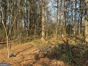 2949 Rosebud Rd, Snellville, GA 30078