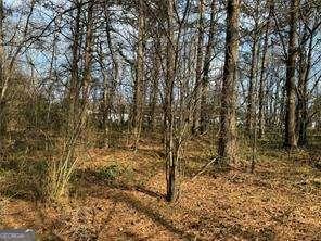 2949 Rosebud Rd, Snellville, GA 30078