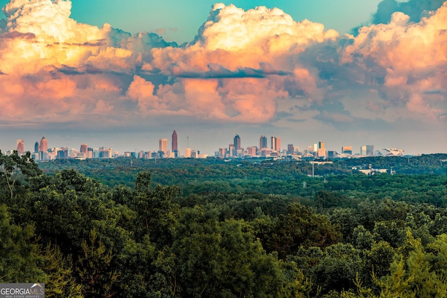 view of city featuring a heavily wooded area