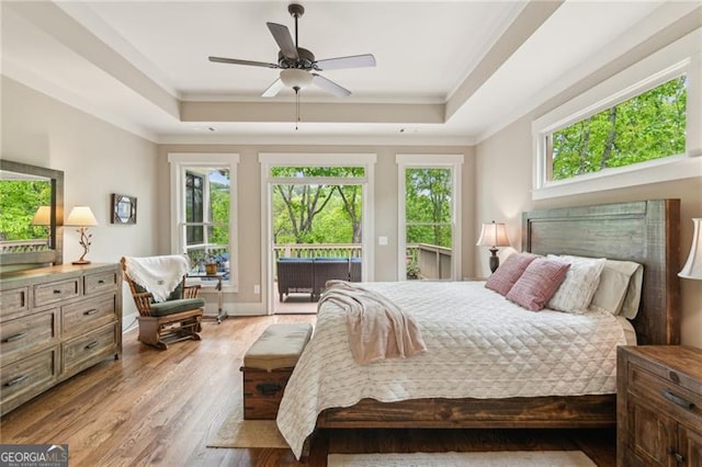 bedroom featuring a raised ceiling, access to outside, multiple windows, and crown molding