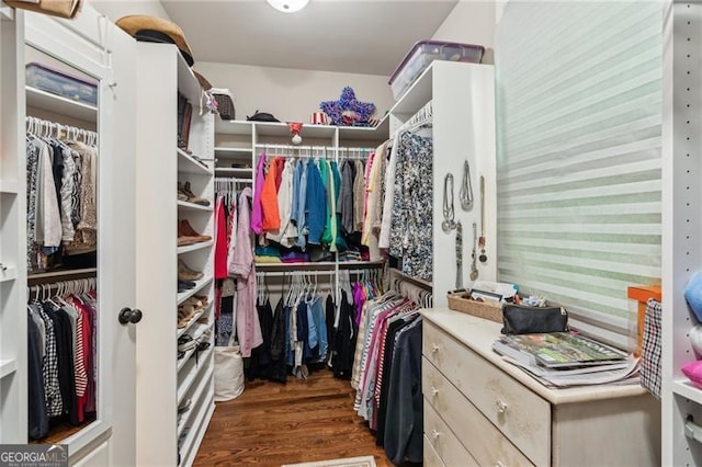 walk in closet featuring wood finished floors