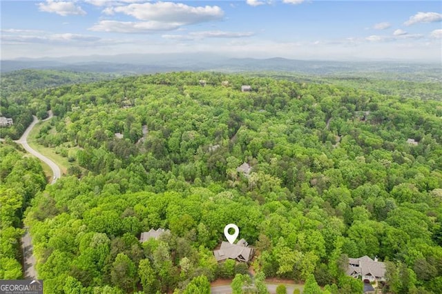 bird's eye view of a forest