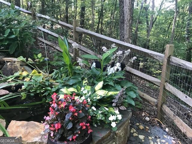 view of nature