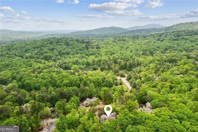 drone / aerial view of a heavily wooded area and mountains