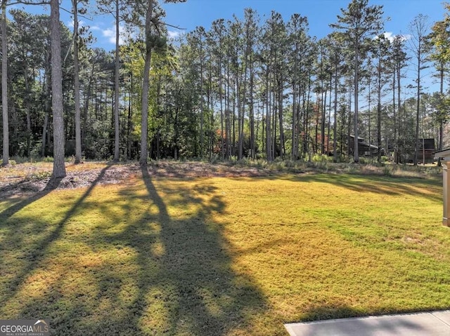 view of yard