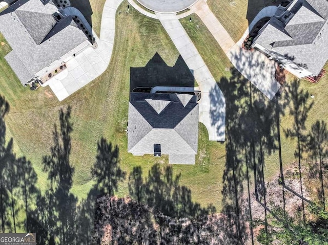 bird's eye view