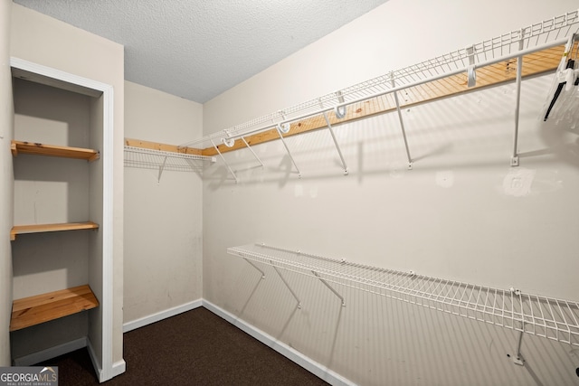 3592 Lakeview Dr, Gainesville, GA 30501 - walk in closet featuring carpet flooring