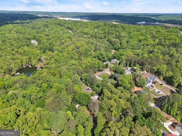 3592 Lakeview Dr, Gainesville, GA 30501 - aerial view with a view of trees