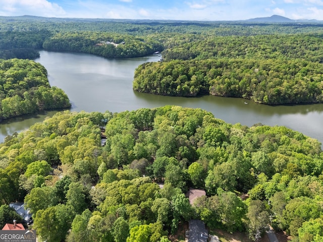3592 Lakeview Dr, Gainesville, GA 30501 - aerial view featuring a water view and a view of trees