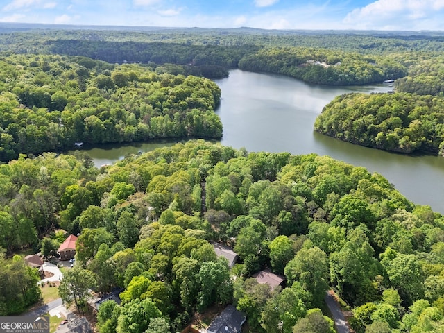 3592 Lakeview Dr, Gainesville, GA 30501 - drone / aerial view featuring a water view and a forest view