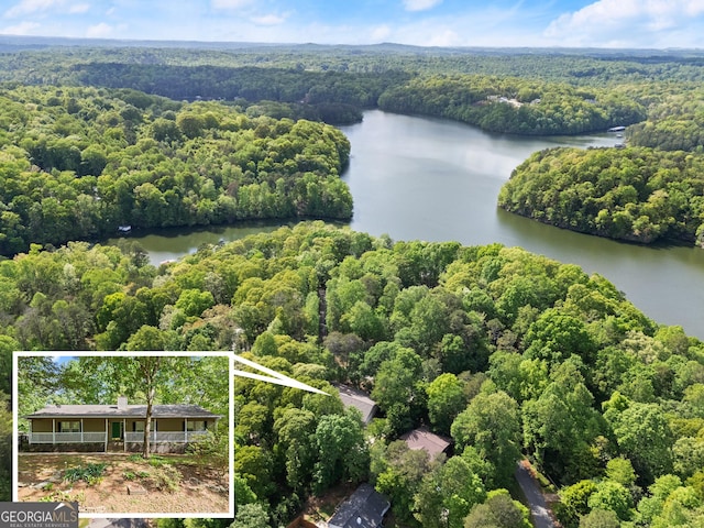 3592 Lakeview Dr, Gainesville, GA 30501 - aerial view featuring a water view and a view of trees