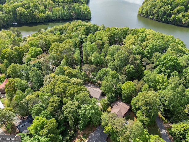 3592 Lakeview Dr, Gainesville, GA 30501 - birds eye view of property with a water view and a view of trees