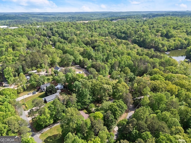 3592 Lakeview Dr, Gainesville, GA 30501 - drone / aerial view with a water view and a forest view