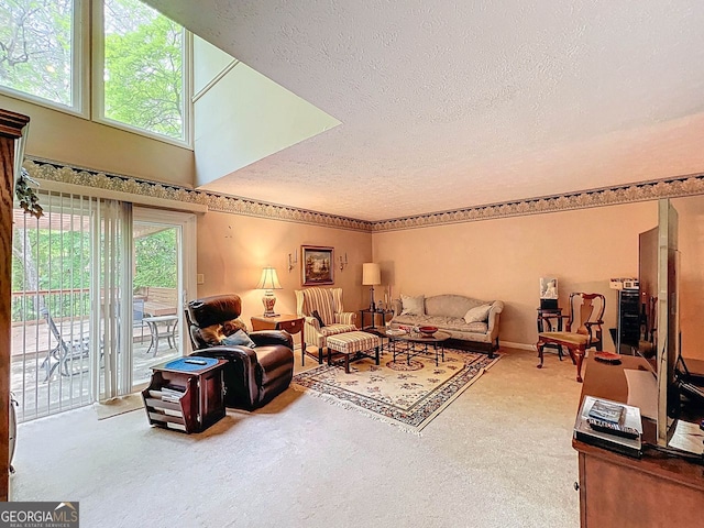 living area with carpet floors and a textured ceiling