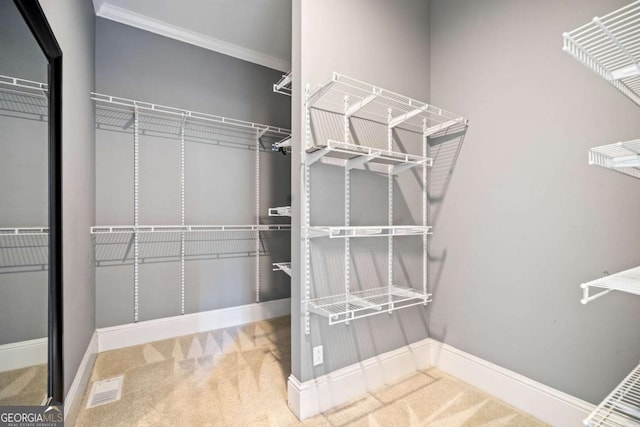 145 Havenbrooke Ct, Fayetteville, GA 30214 - walk in closet featuring visible vents and carpet floors