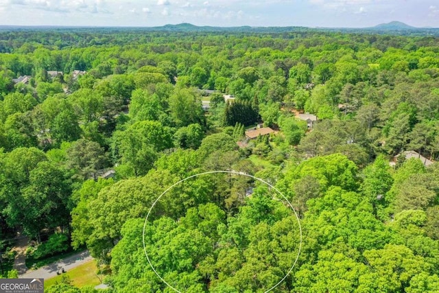 bird's eye view with a view of trees