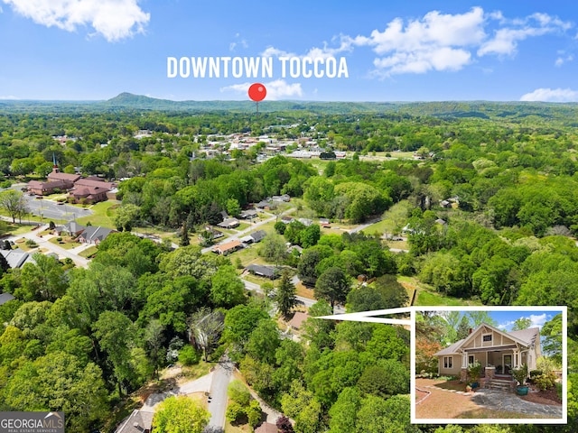 19 Oak Creek Cir, Toccoa, GA 30577 - wooden terrace with a ceiling fan and fence private yard