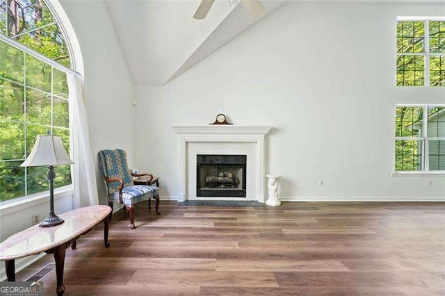 3420 Honeysuckle Ln, Lithia Springs, GA 30122 - sitting room with a fireplace with flush hearth, wood finished floors, and a healthy amount of sunlight