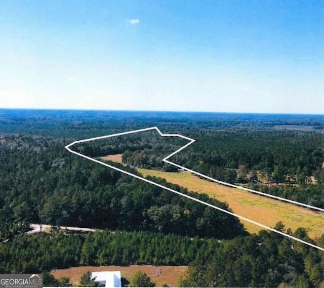 0 Old Happy Rd Unit 198.16Acres, Brooklet, GA 30415