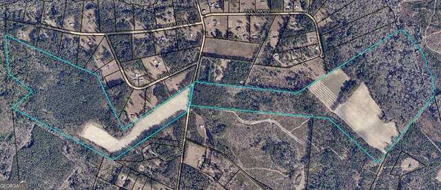 0 Old Happy Rd Unit 198.16Acres, Brooklet, GA 30415
