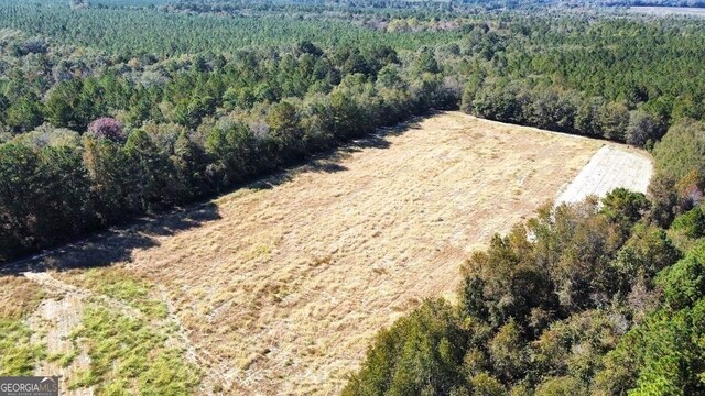 0 Old Happy Rd Unit 198.16Acres, Brooklet, GA 30415