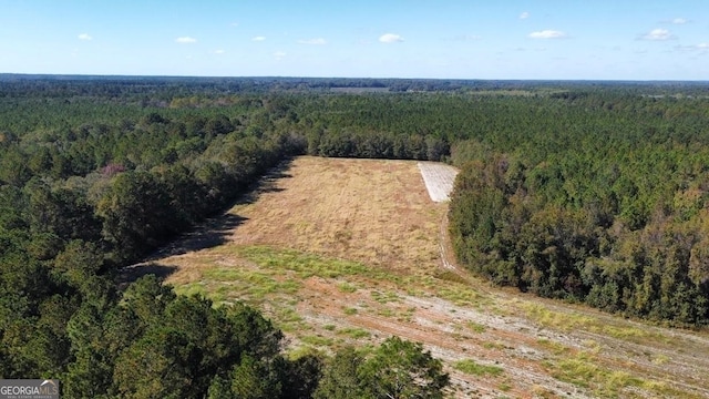 0 Old Happy Rd Unit 198.16Acres, Brooklet, GA 30415