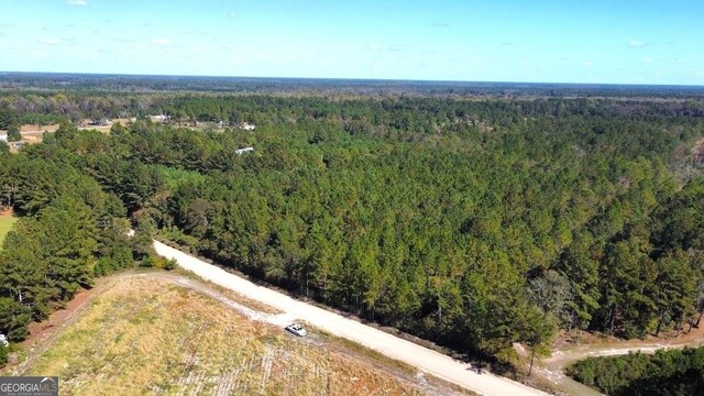 0 Old Happy Rd Unit 198.16Acres, Brooklet, GA 30415