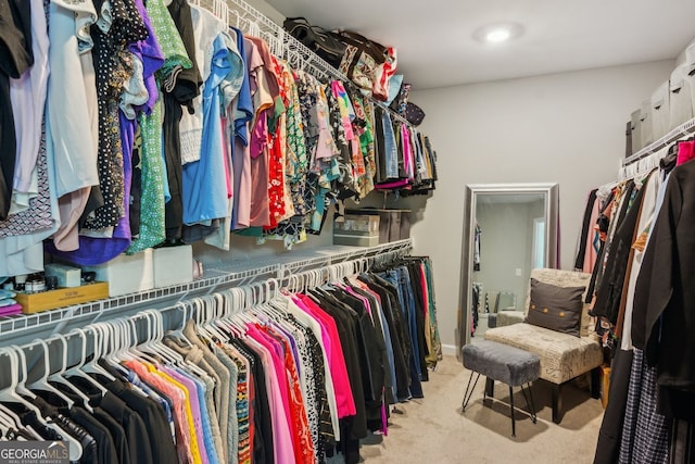 walk in closet featuring carpet floors