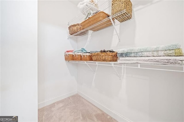 221 Hickory Bluffs Pkwy, Canton, GA 30114 - spacious closet featuring carpet floors