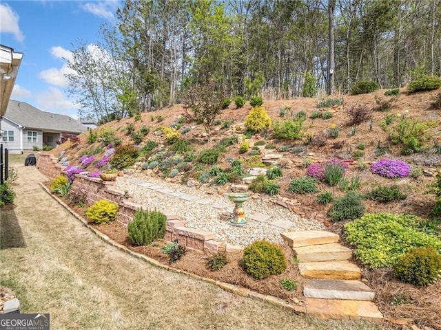 221 Hickory Bluffs Pkwy, Canton, GA 30114 - view of yard