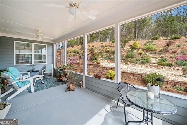 221 Hickory Bluffs Pkwy, Canton, GA 30114 - sunroom / solarium featuring ceiling fan
