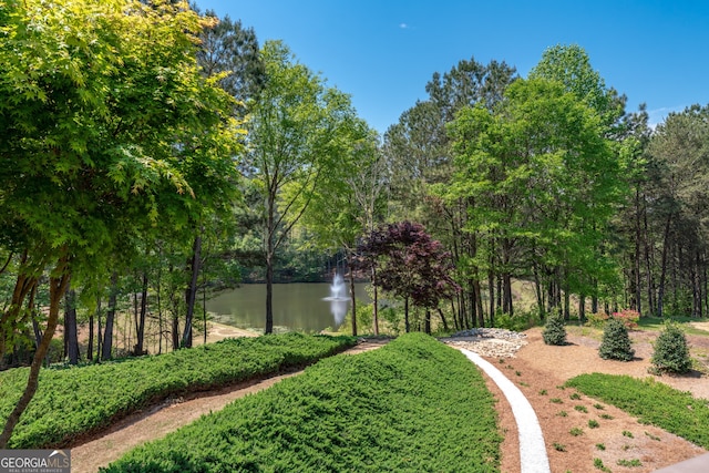 9255 Old Preserve Trl, Ball Ground, GA 30107 - view of property's community featuring a water view